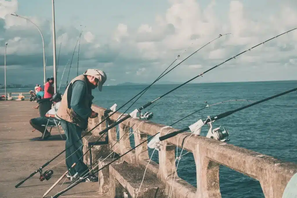 Taruhan Memancing Lalat